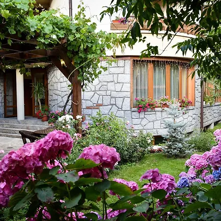 Hotel Lina